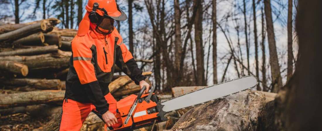 Operador com motosserra em supressão vegetal autorizada