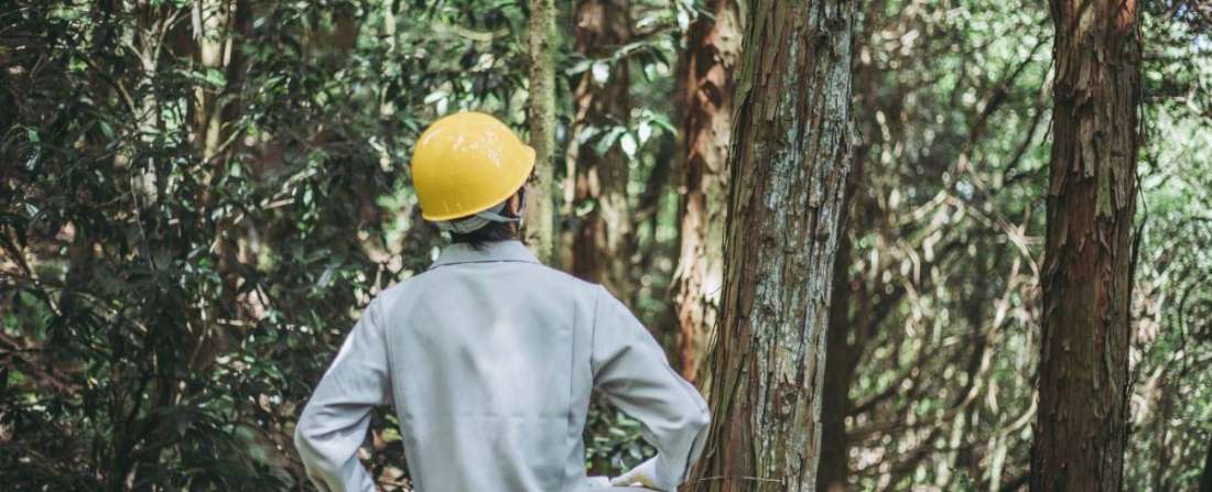 Técnico realizando inventário florestal em campo